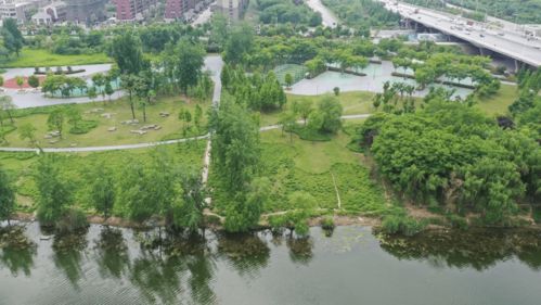 潁河橋下福利特輯 | 一河一園美景如畫，三重狂歡豪禮抱回家